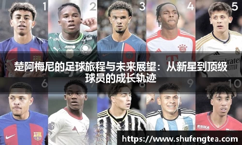 bsports体育