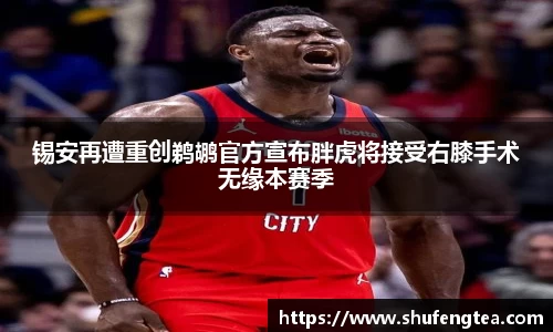 bsports必一体育