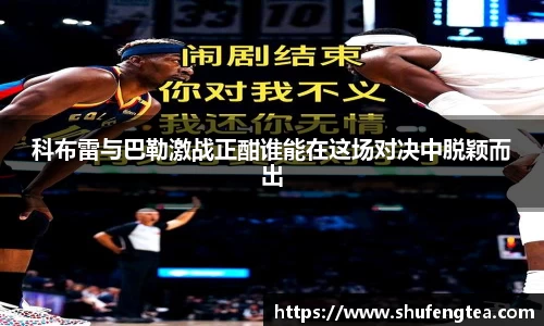 bsports体育
