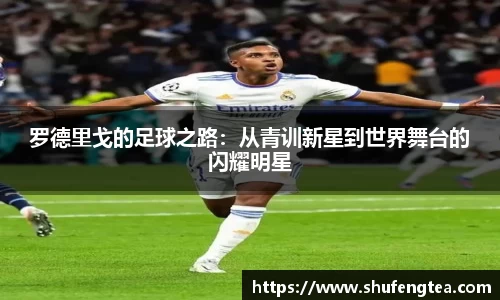 bsports必一体育