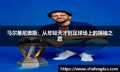 bsports体育