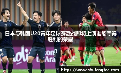 bsports体育