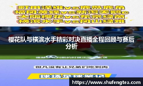 bsports体育