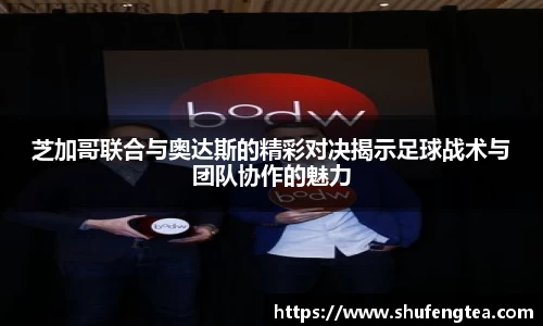 bsports必一体育