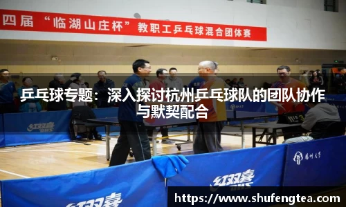 乒乓球专题：深入探讨杭州乒乓球队的团队协作与默契配合